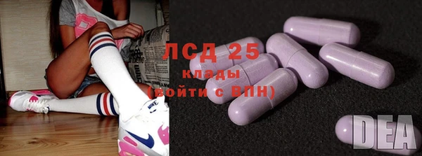 индика Балабаново