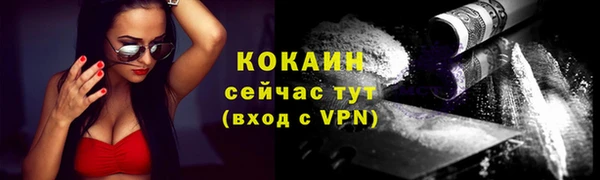 индика Балабаново