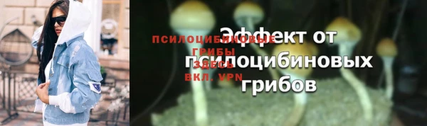 индика Балабаново