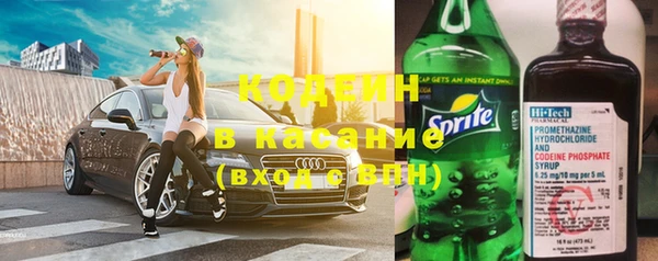 индика Балабаново