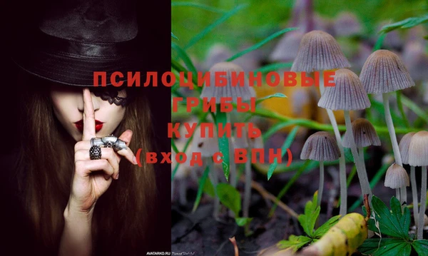 индика Балабаново