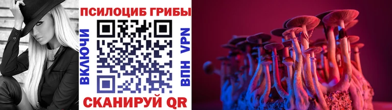 Псилоцибиновые грибы MAGIC MUSHROOMS  наркошоп  Североуральск 